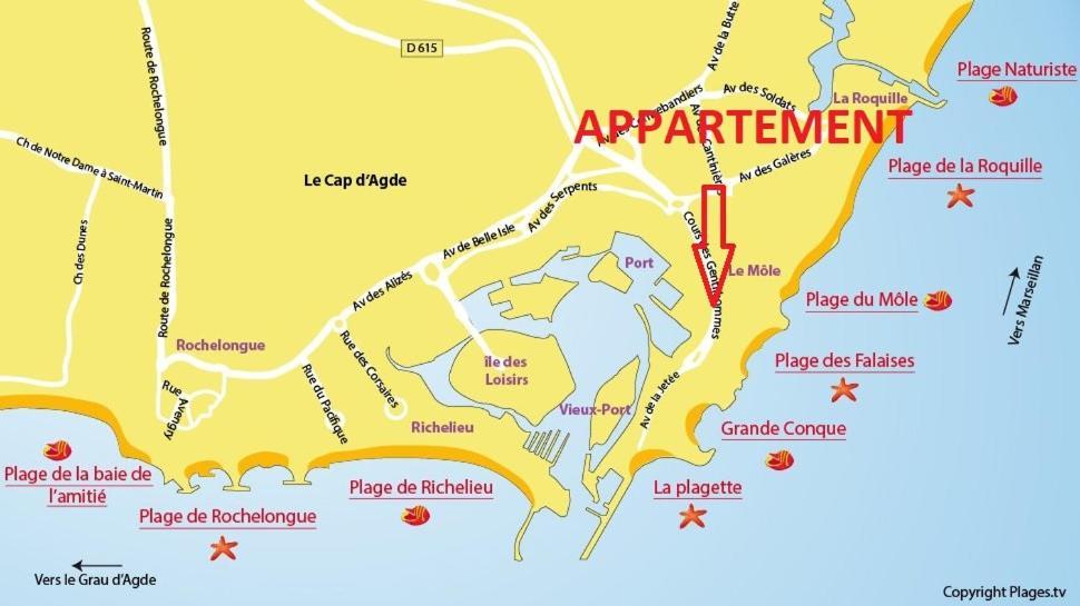 Cap D'Agde 300M Plage Du Mole,Vue Port,Parking,Lave Linge,Piscine Apartment Luaran gambar
