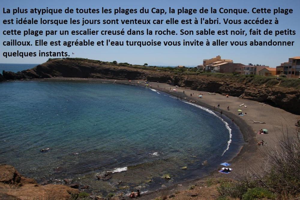 Cap D'Agde 300M Plage Du Mole,Vue Port,Parking,Lave Linge,Piscine Apartment Luaran gambar